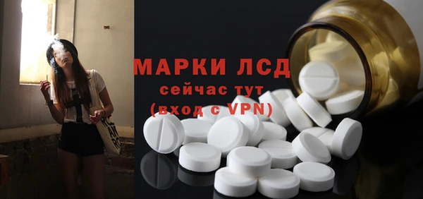 mdpv Новозыбков